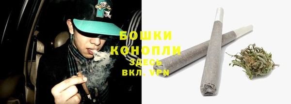 ПСИЛОЦИБИНОВЫЕ ГРИБЫ Верхнеуральск