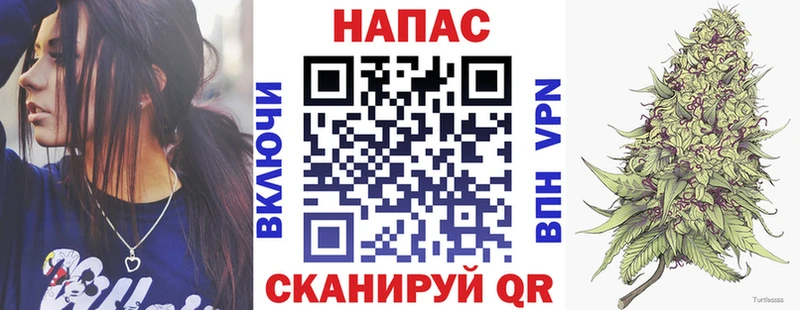 Купить где  Мегион  Каннабис сатива 